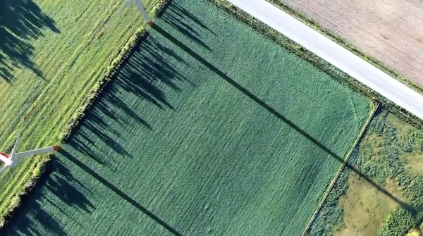 エバーグリーンホームの公式サイトキャプチャ